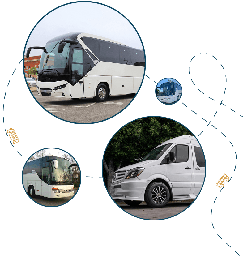 buses